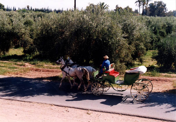 Une calèche
