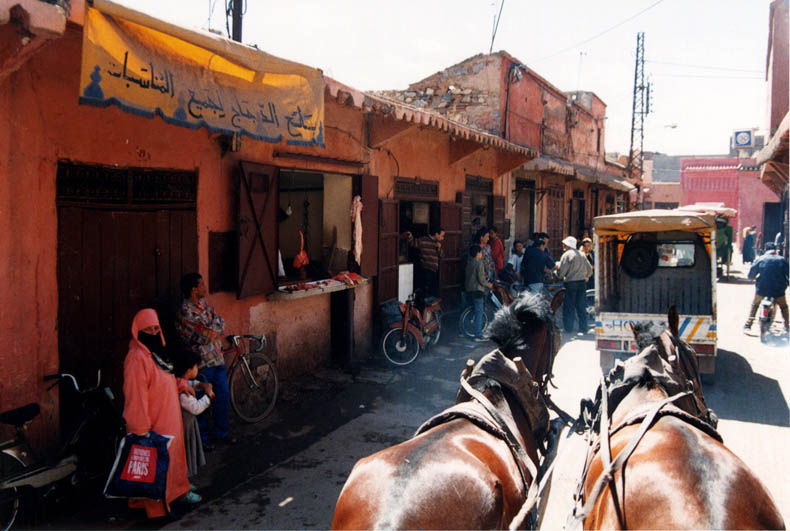 Les Souks en calèche