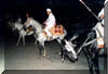 Les chevaux  la fantasia